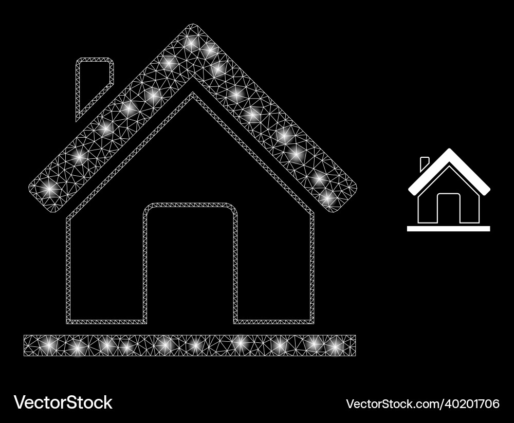 Mesh net home with glowing carcass flashes Mesh net home with glowing carcass flashes Vector Image
