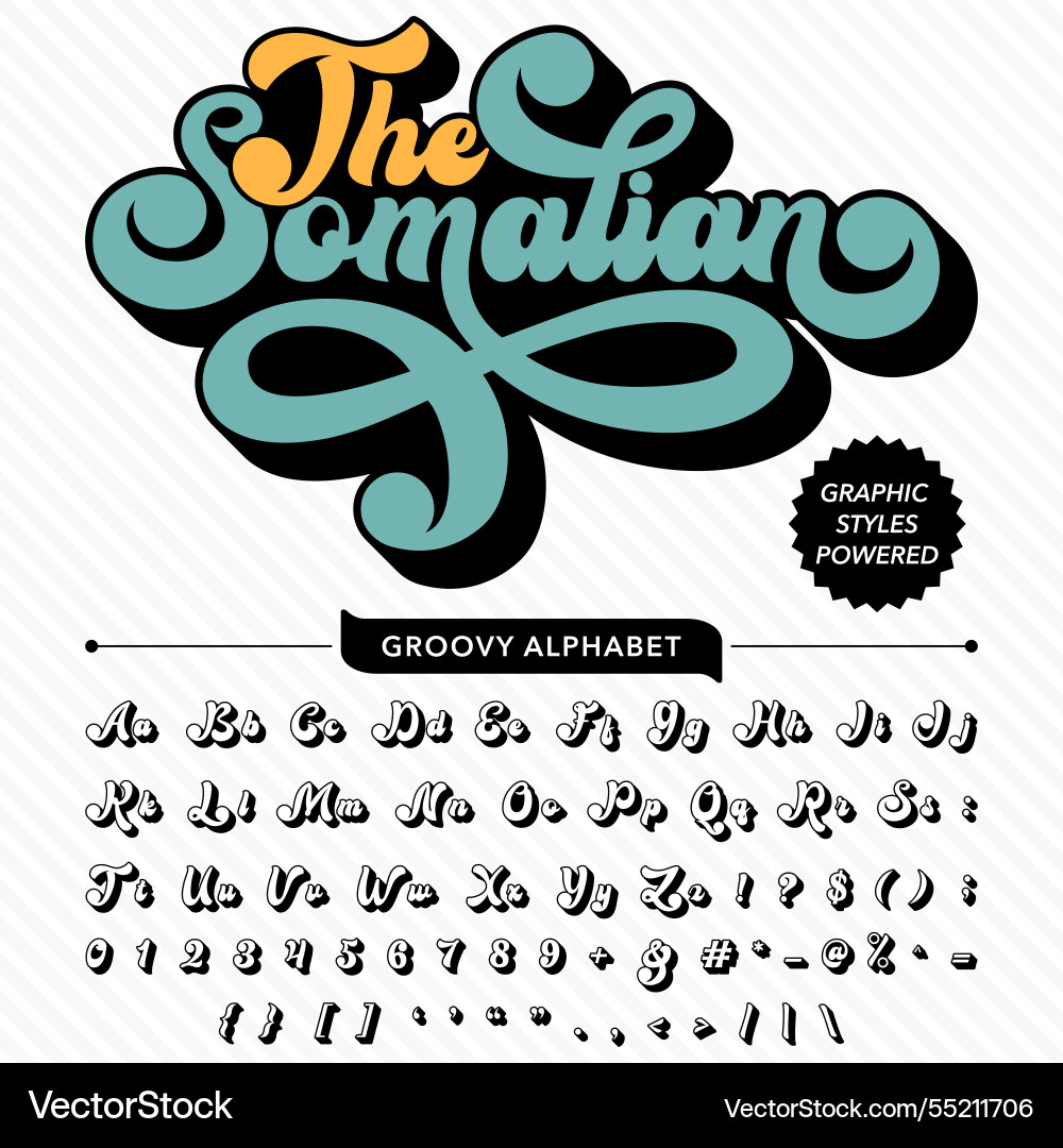 Script retro groovy vintage display bold font vector image