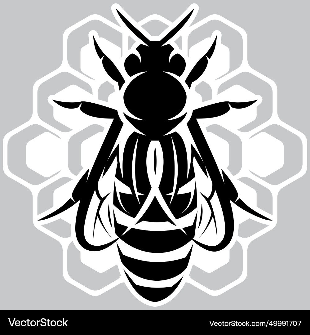 Stylish template in a simple style with queen Stylish template in a simple style with queen vector image