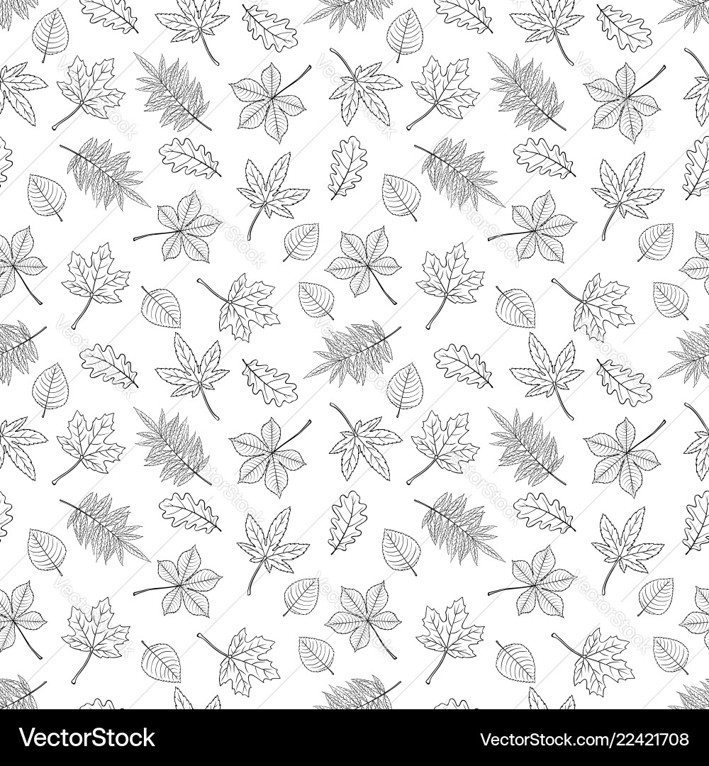 Seamless pattern autumn leaves Seamless pattern autumn leaves vector image