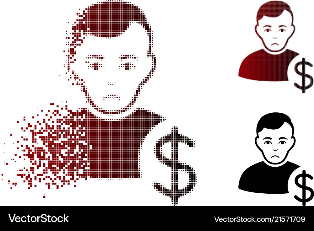 Decomposed Dollar User Icon Vector Image