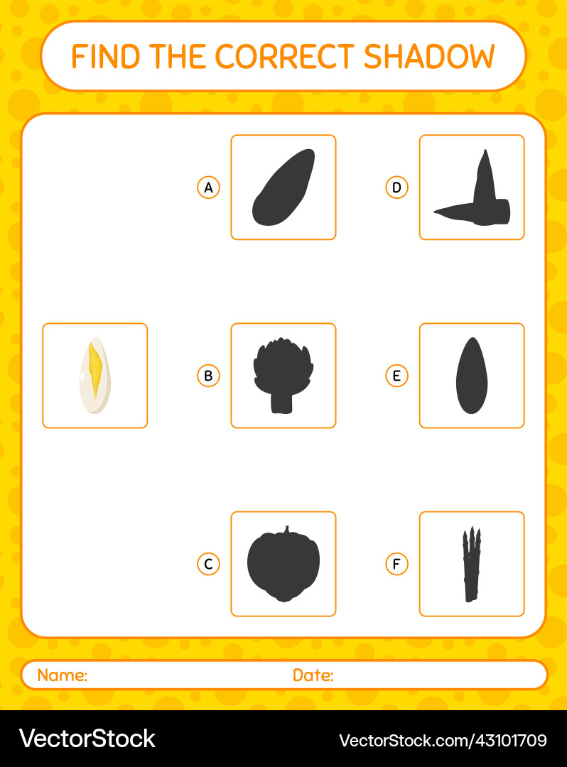 Find the correct shadows game with witloof Find the correct shadows game with witloof vector image