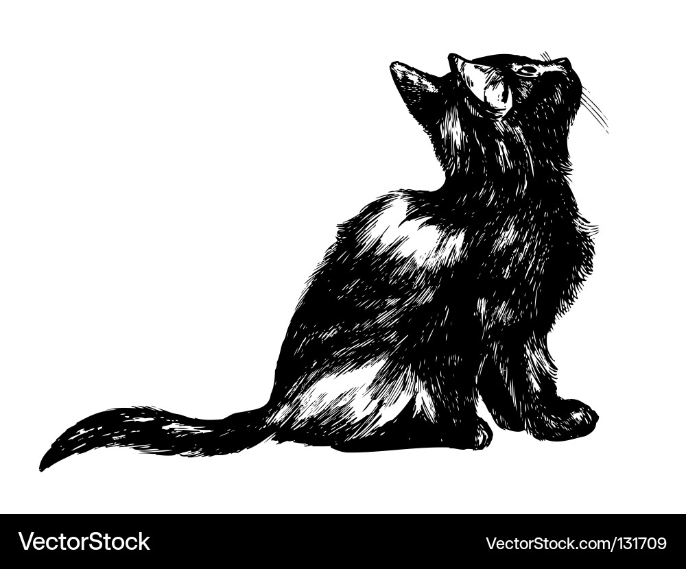 Ink Sketch of a Curious Cat Vector Image