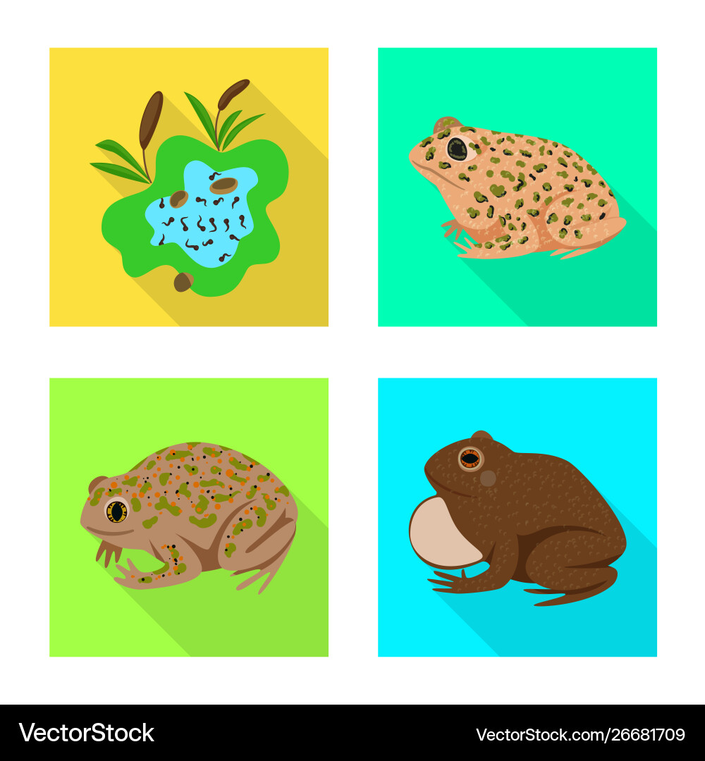 Isolated object wildlife and bog icon Isolated object wildlife and bog icon Vector Image