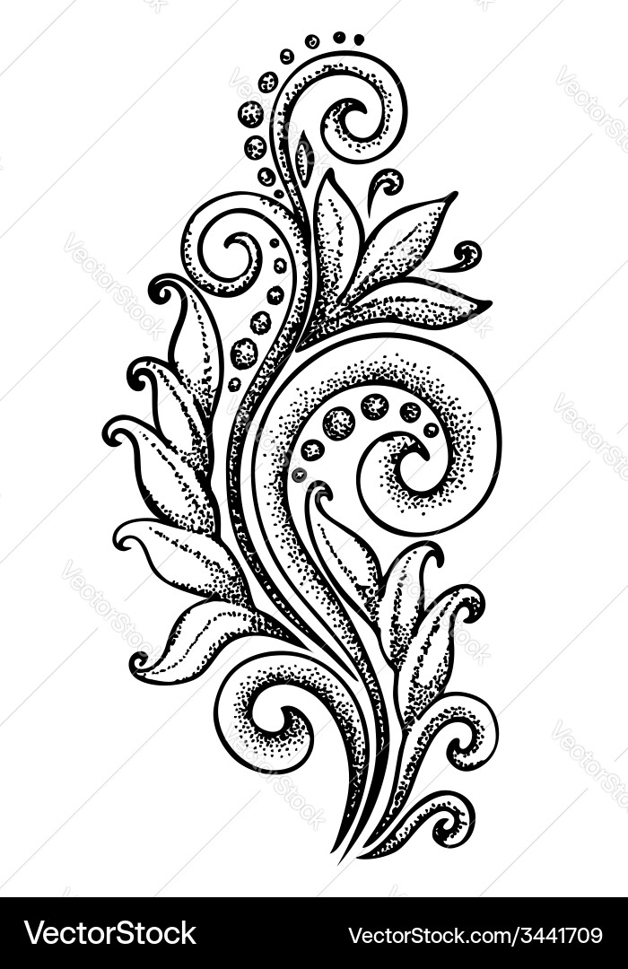 Ornate Curl Patterns vector image