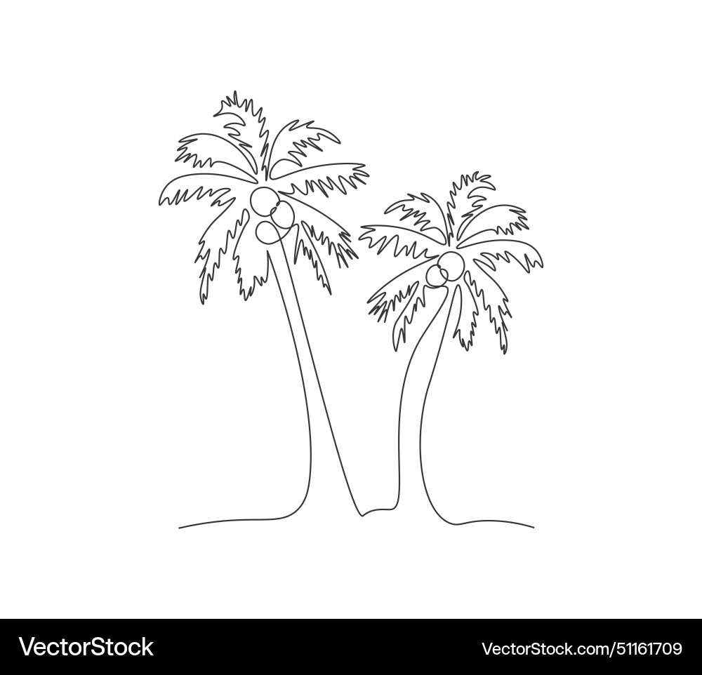 Single line drawing palm tree in one continuous vector image