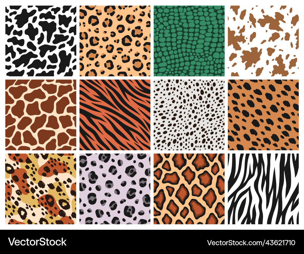Animal Print Seamless Patterns Vector Image