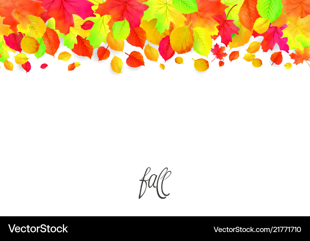 Seamless border pattern of falling autumn leaves Seamless border pattern of falling autumn leaves Vector Image