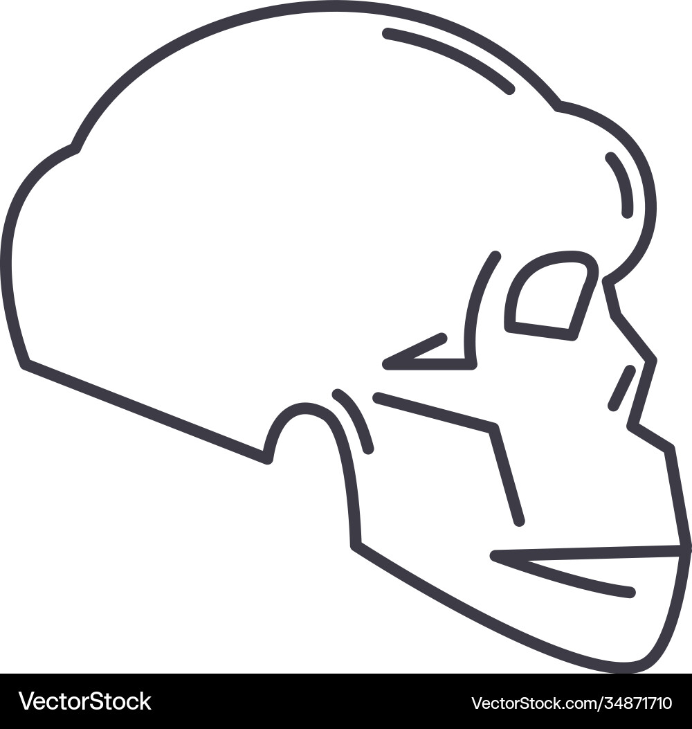 Skeleton icon linear isolated thin Skeleton icon linear isolated thin Vector Image