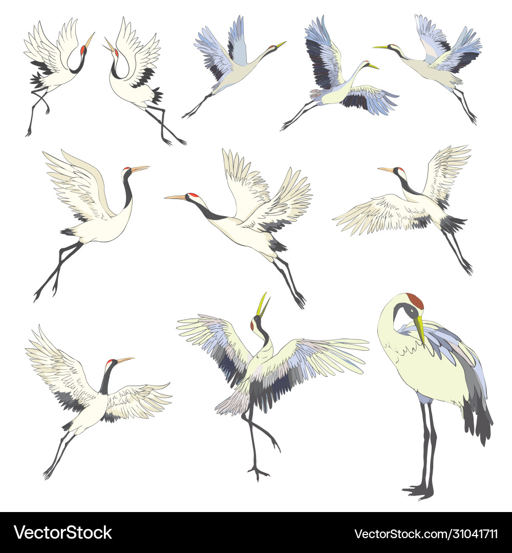 Crane a bird in flight design element Crane a bird in flight design element vector image