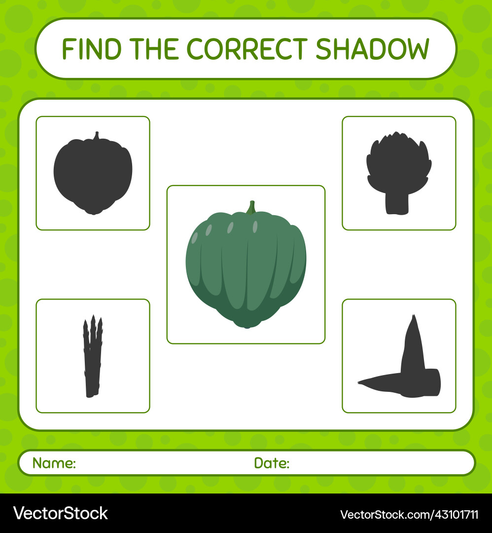 Find the correct shadows game with acorn squash Find the correct shadows game with acorn squash vector image