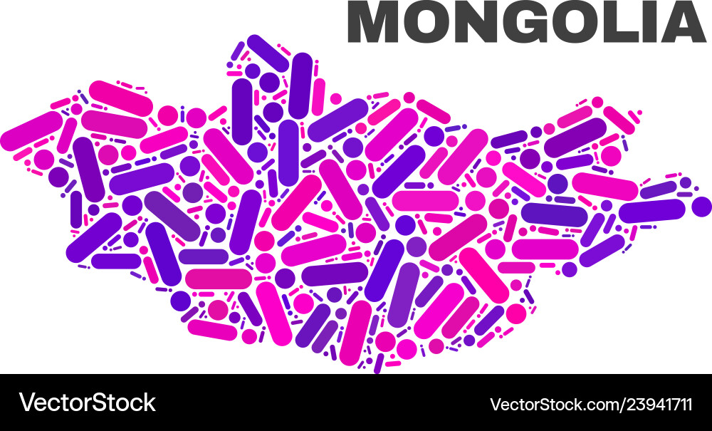 Mosaic mongolia map of dots and lines Vector Image