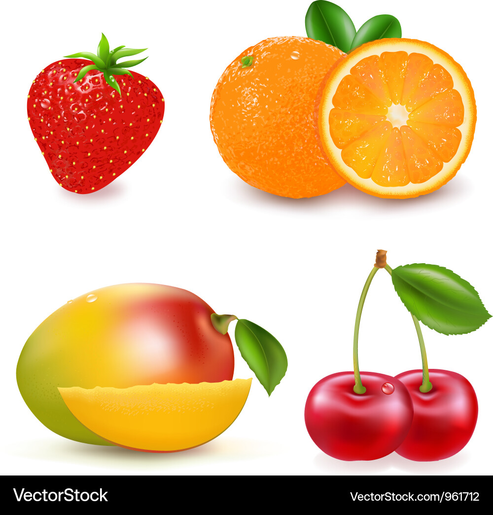 Bunte Fruchtsortiment Vektorbild