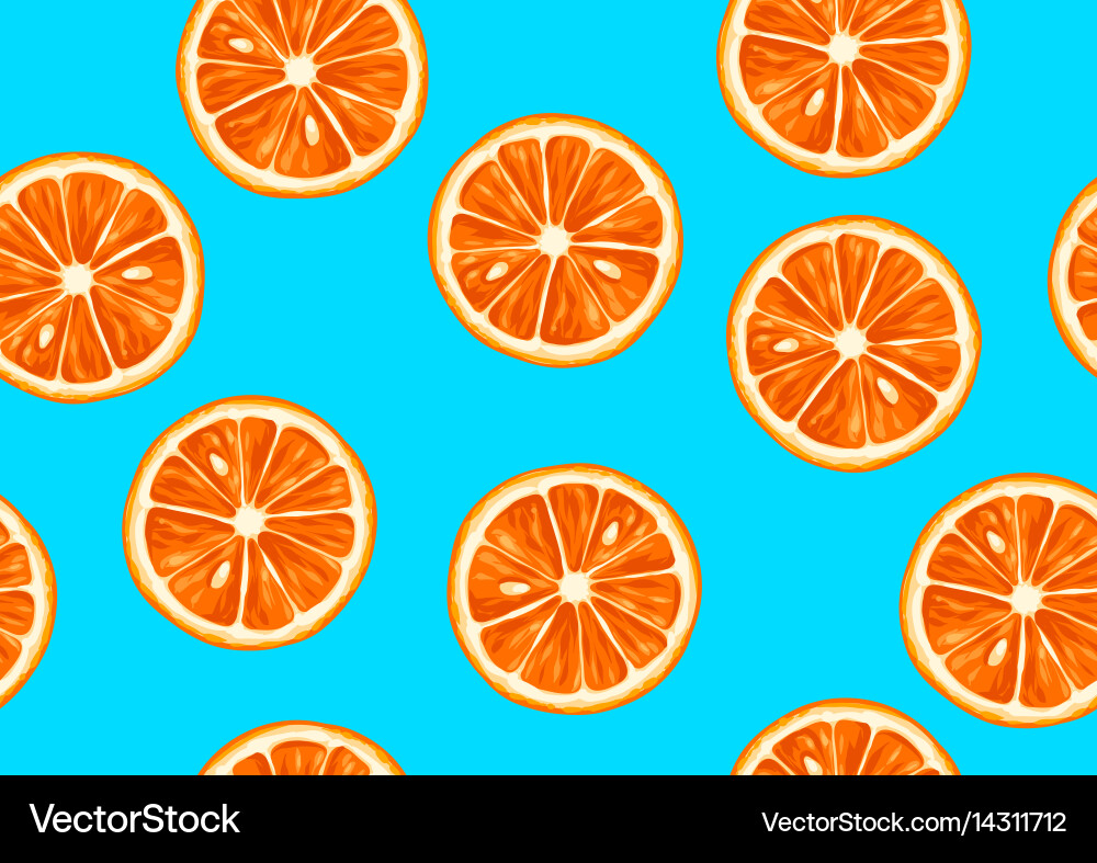 Citrus Slice Pattern vector image