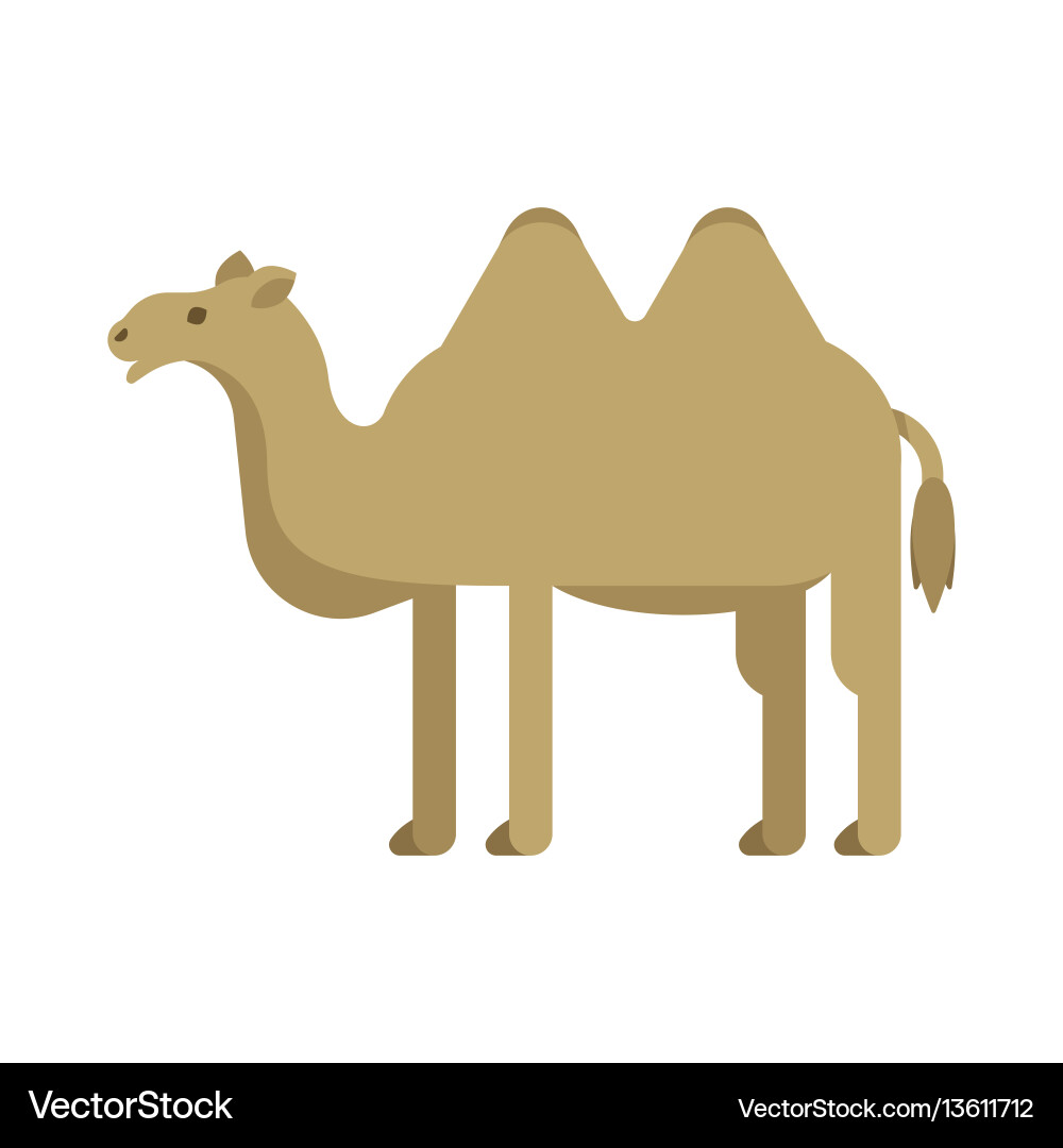 Flat style of camel Vector Image