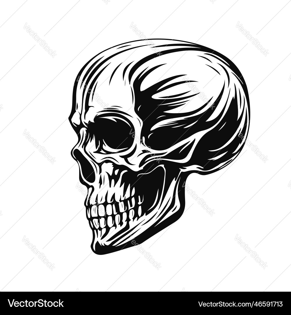 Black and White Skull Emblem vector image