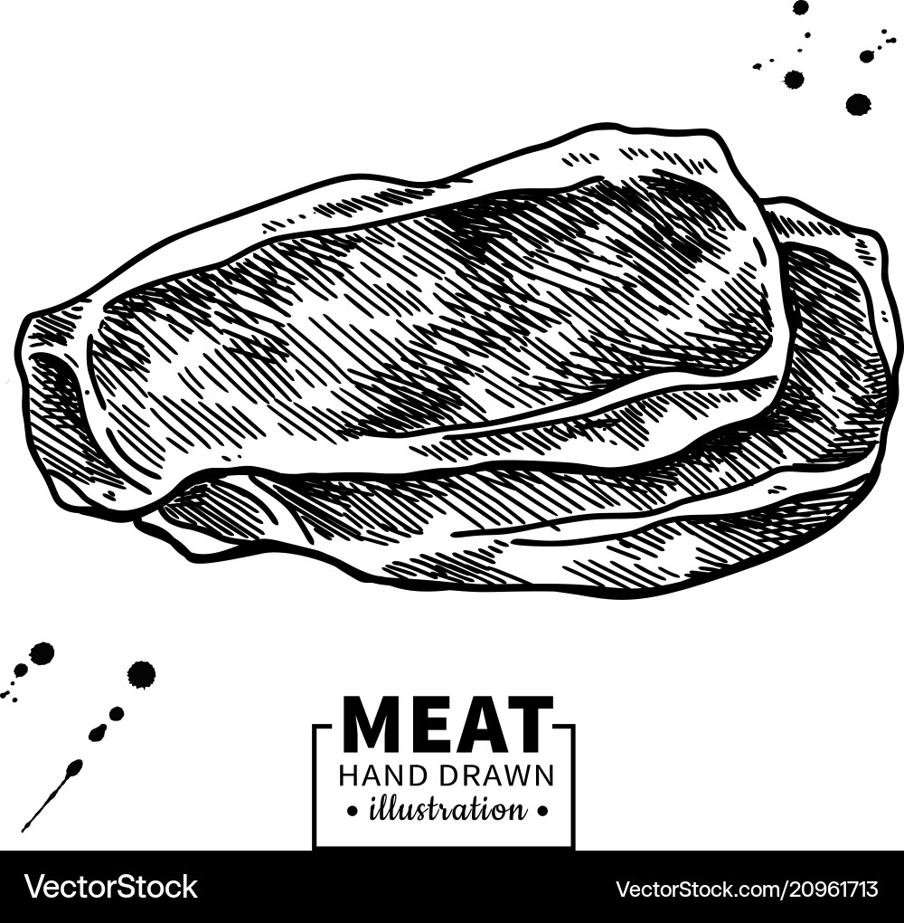 Ham slice drawing hand drawn hamon or pork Ham slice drawing hand drawn hamon or pork vector image