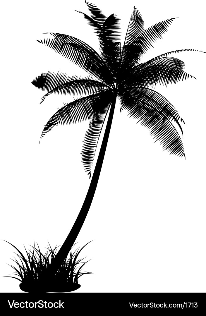 Lone Palm Silhouette Vector Image