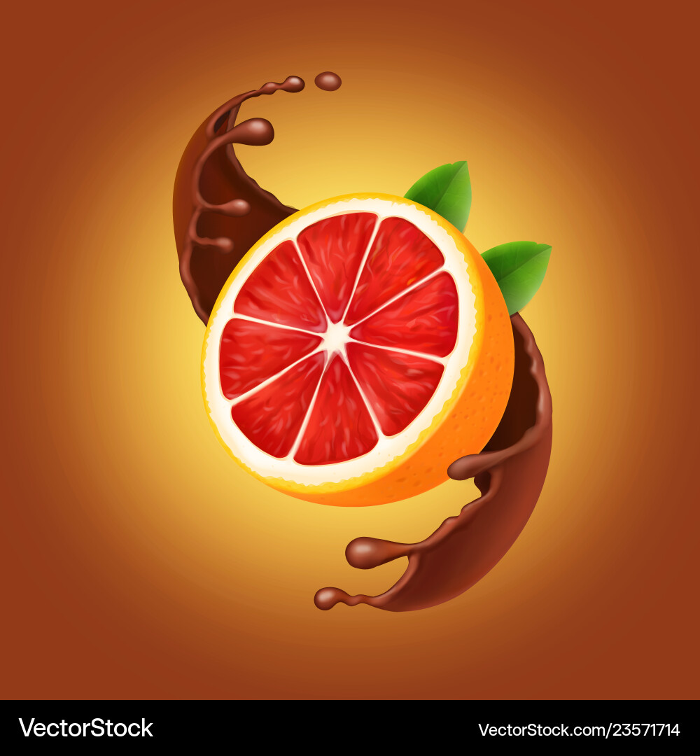 Chocolate splash with grapefruit Chocolate splash with grapefruit vector image