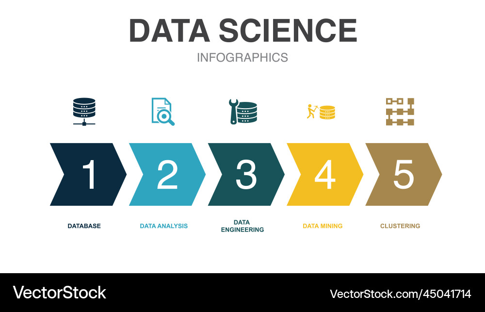 Data science icons infographic design template Data science icons infographic design template vector image