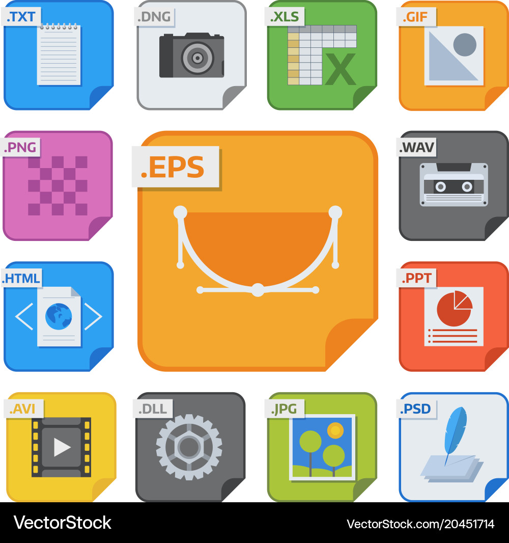 File types icons and formats labels vector image