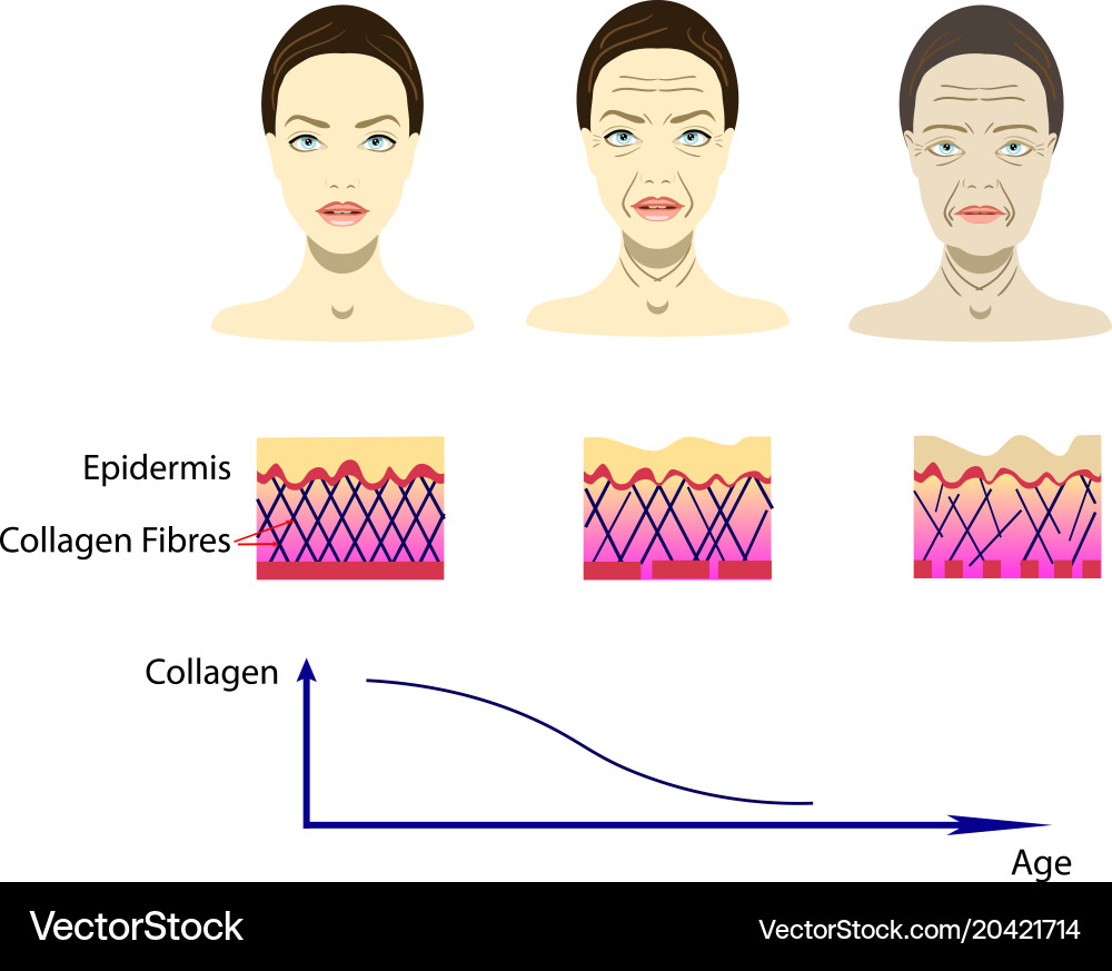 With aging process scheme vector image