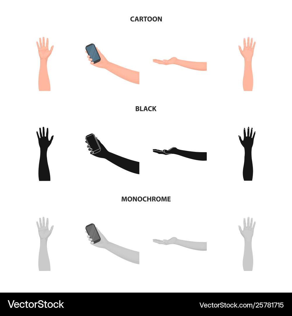 Design and animated icon set vector image