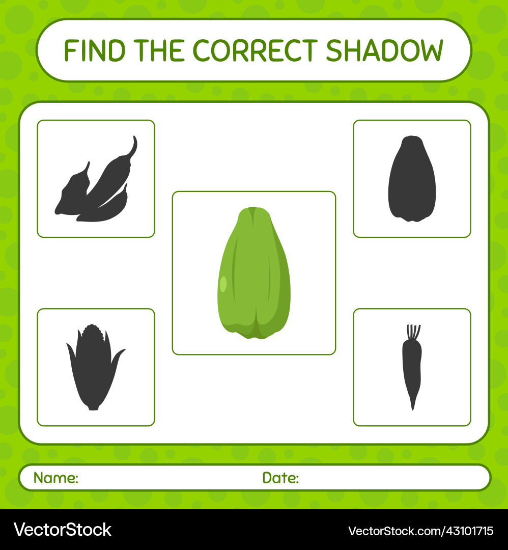 Find the correct shadows game with chayote vector image