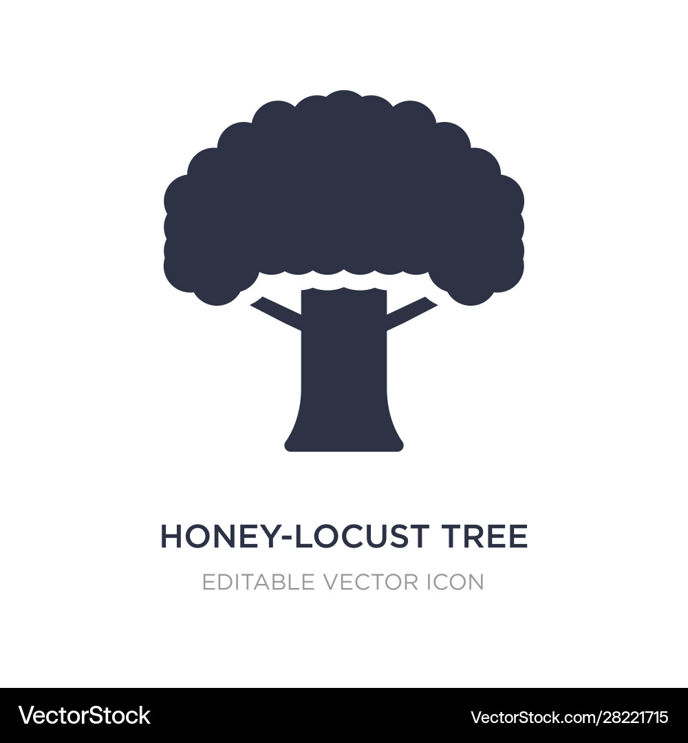 Honey-locust tree icon on white background simple Honey-locust tree icon on white background simple vector image