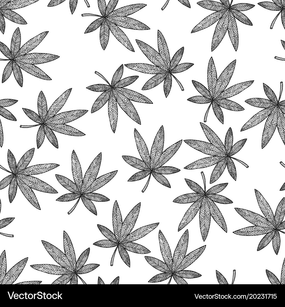 Seamless pattern background marijuana vector image