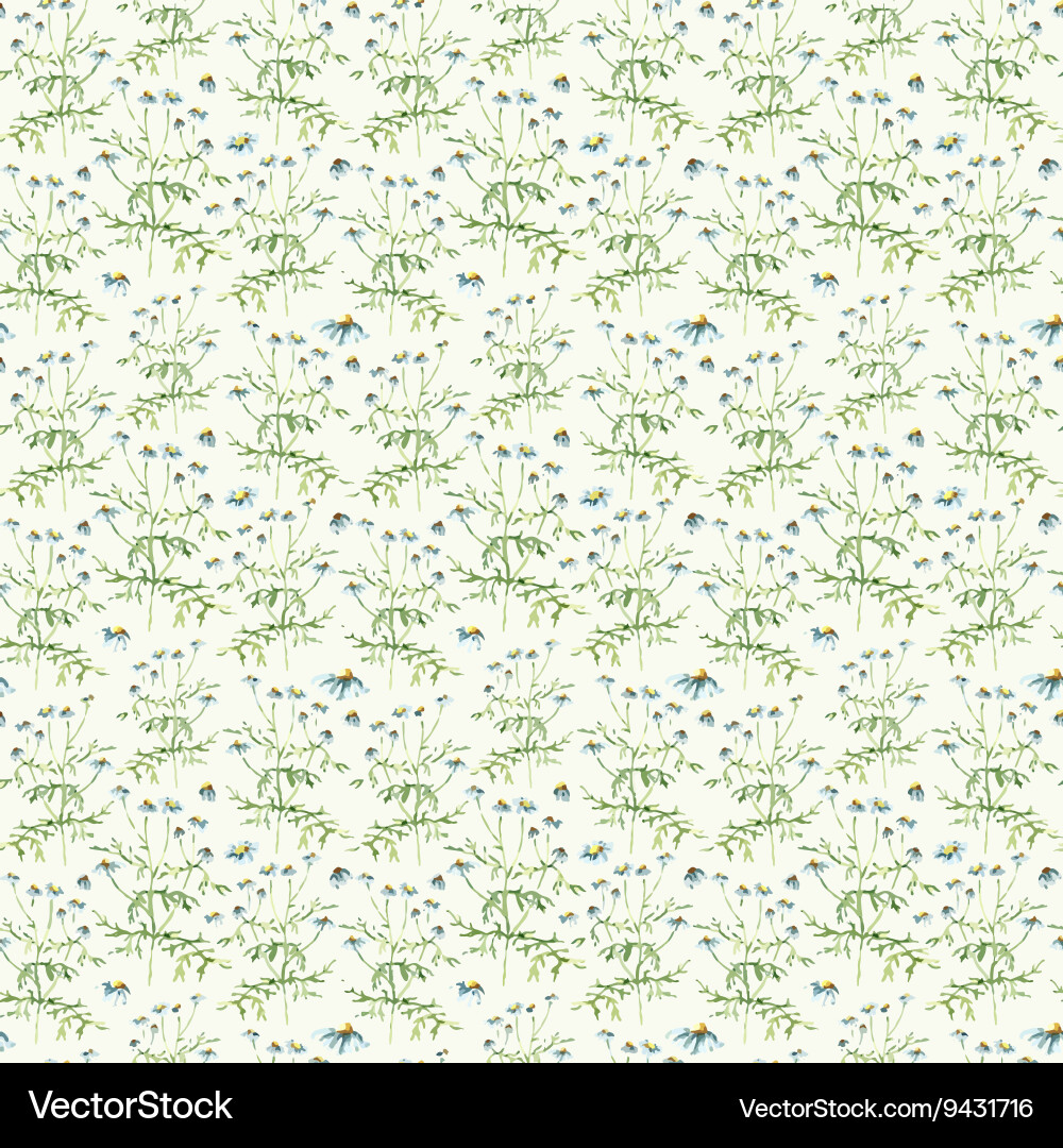 Chamomile Herb Pattern Vector Image