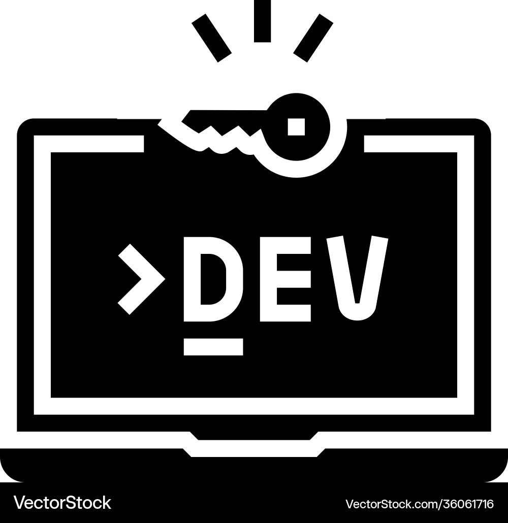 Development computer software glyph icon Vector Image