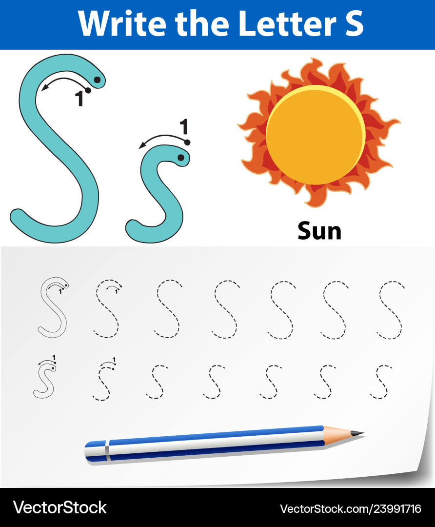 Letter s tracing alphabet worksheets Letter s tracing alphabet worksheets vector image
