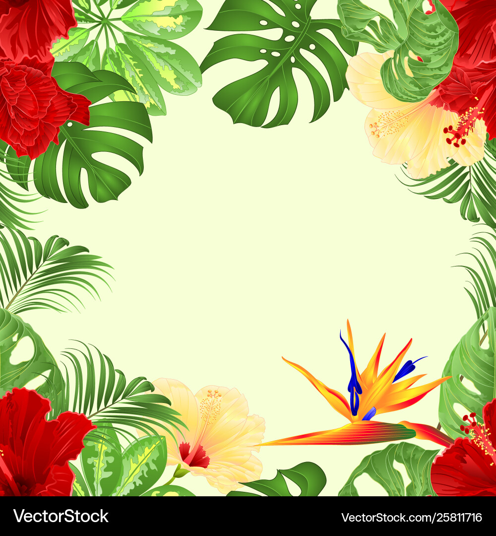 Tropical Flower Border Vector Image