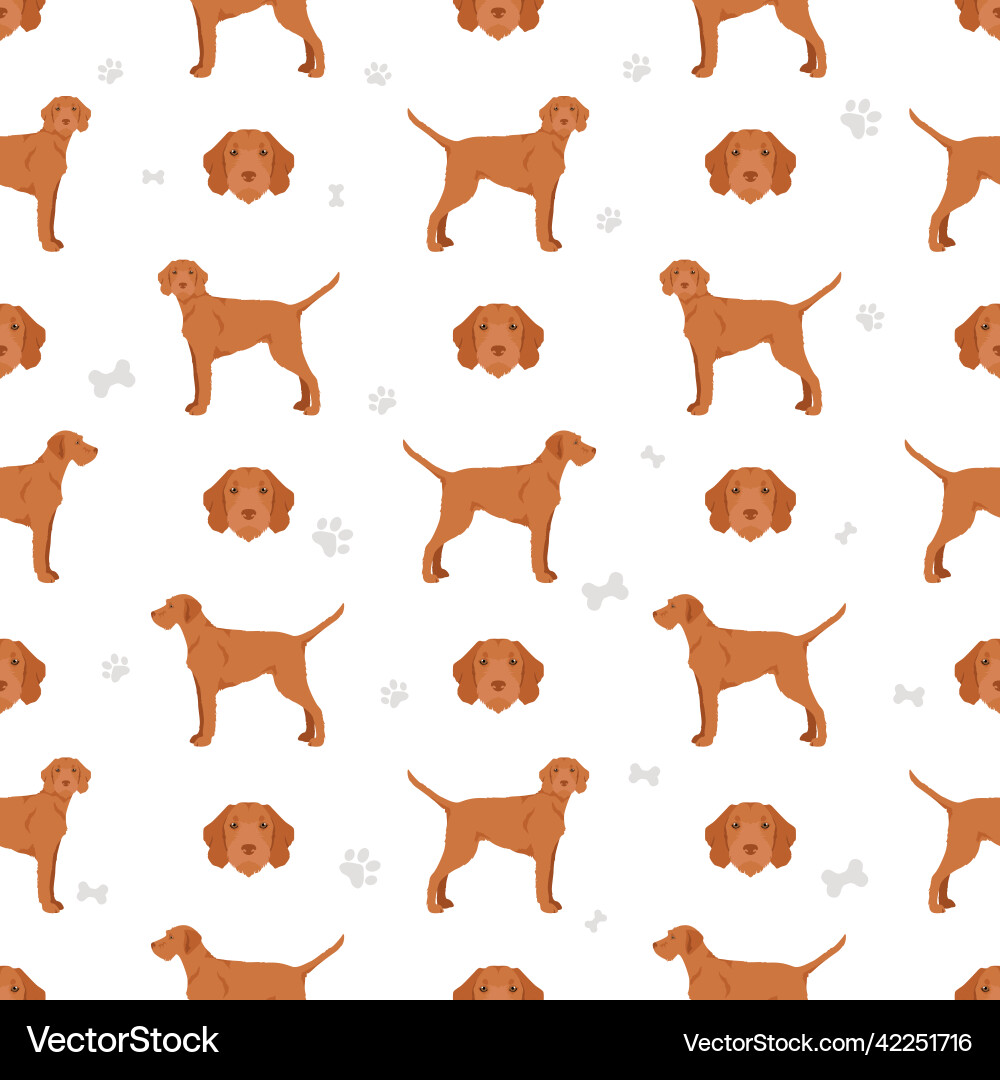 Vizsla wirehaired seamless pattern different Vizsla wirehaired seamless pattern different vector image