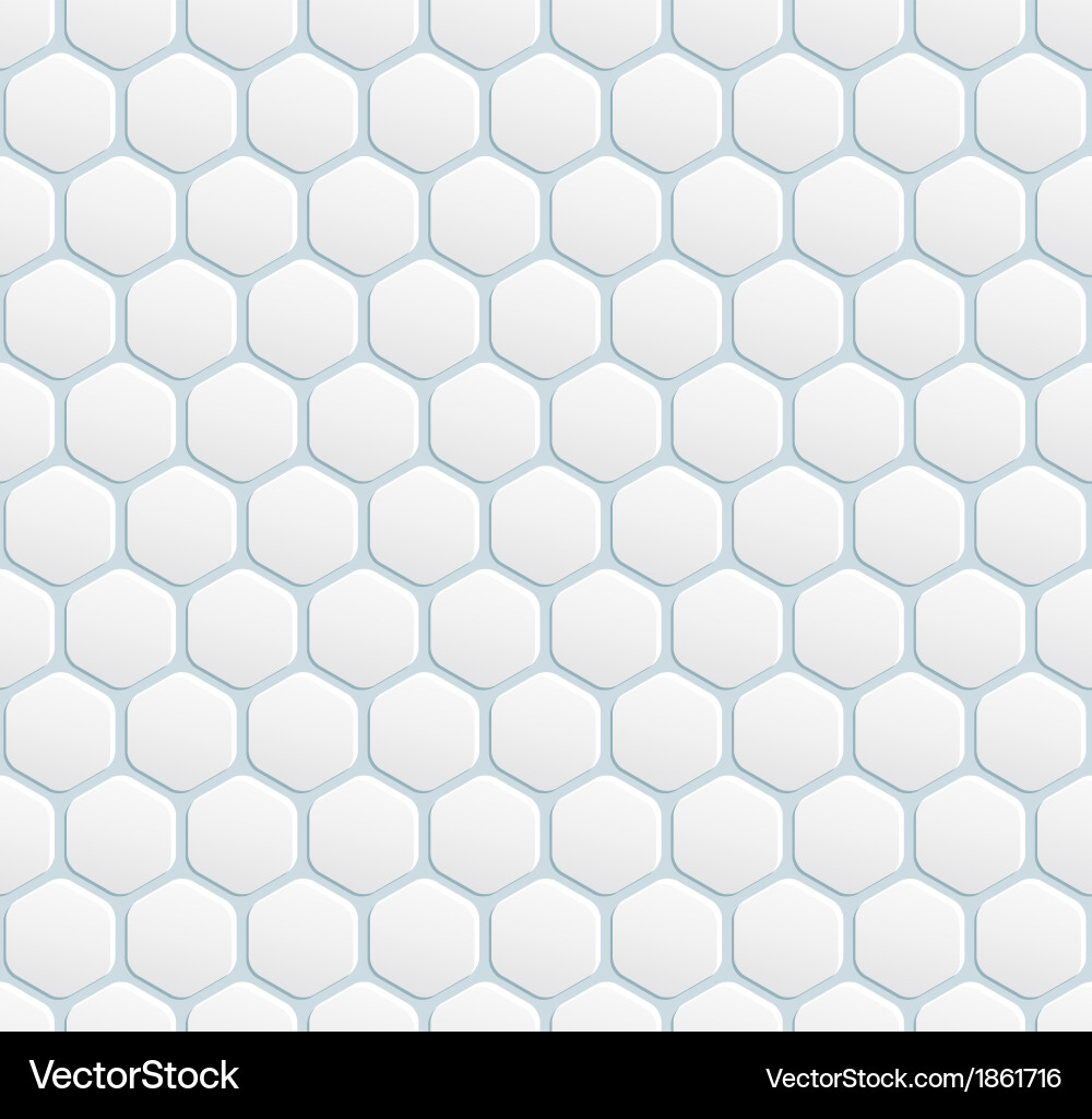 White Hexagon Pattern Background vector image