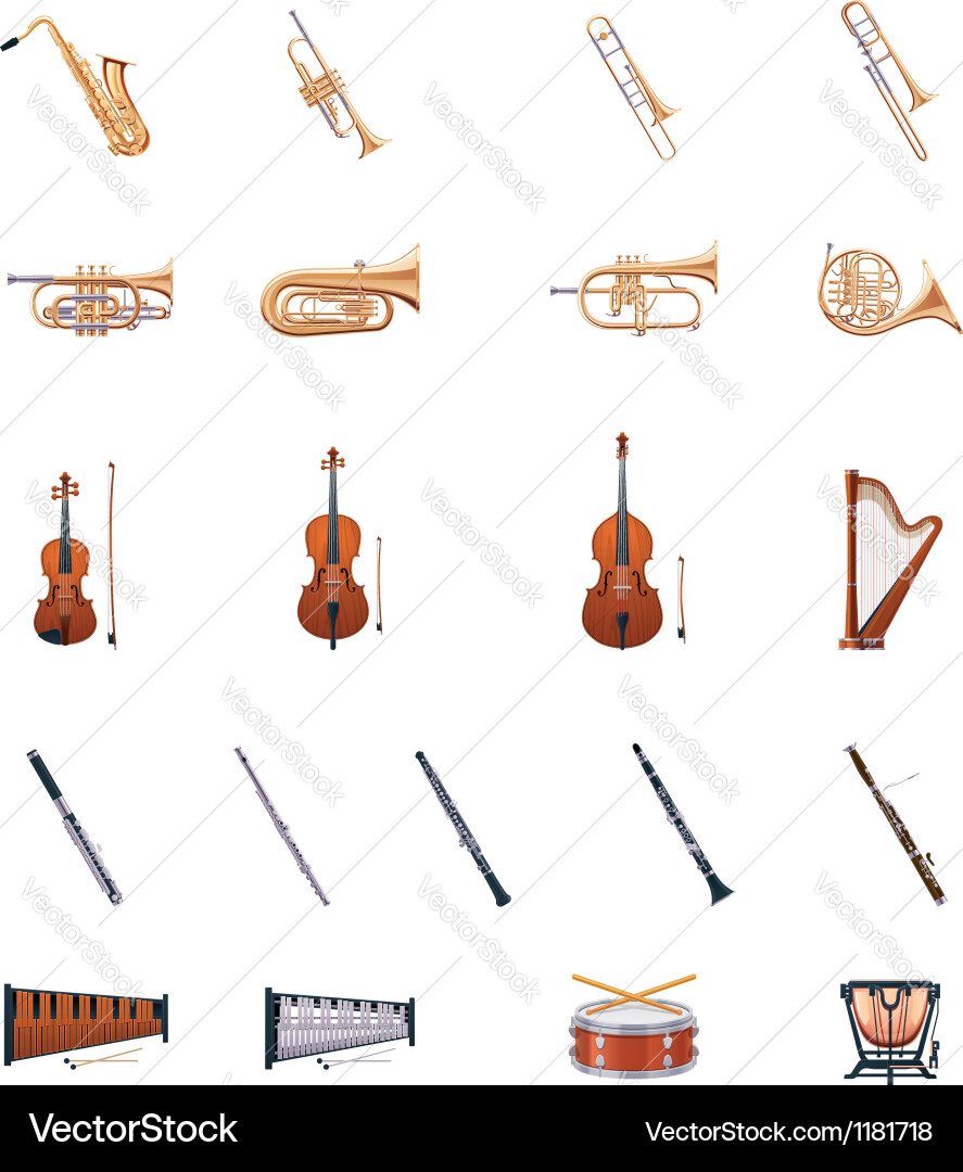 Orchestral Instruments Collection vector image
