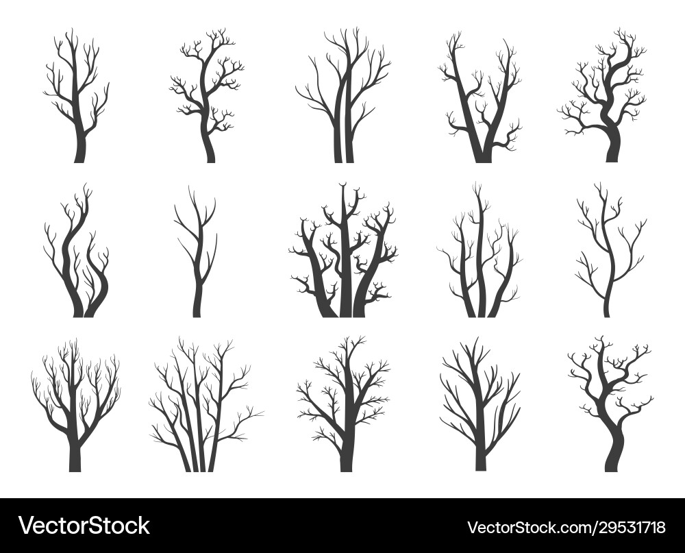 Winter dry trees Royalty Free Vector Image - VectorStock