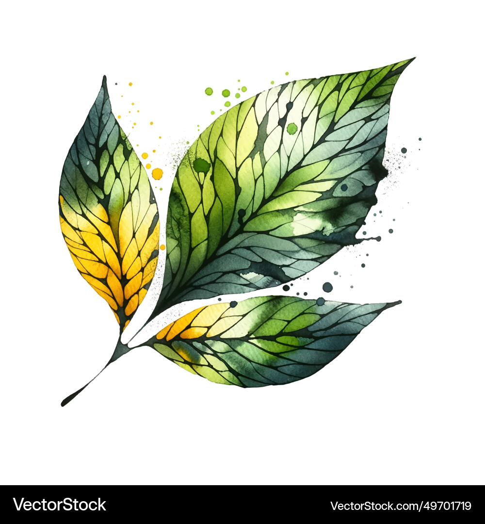 Hand drawn watercolor green yellow colors leaves Hand drawn watercolor green yellow colors leaves vector image