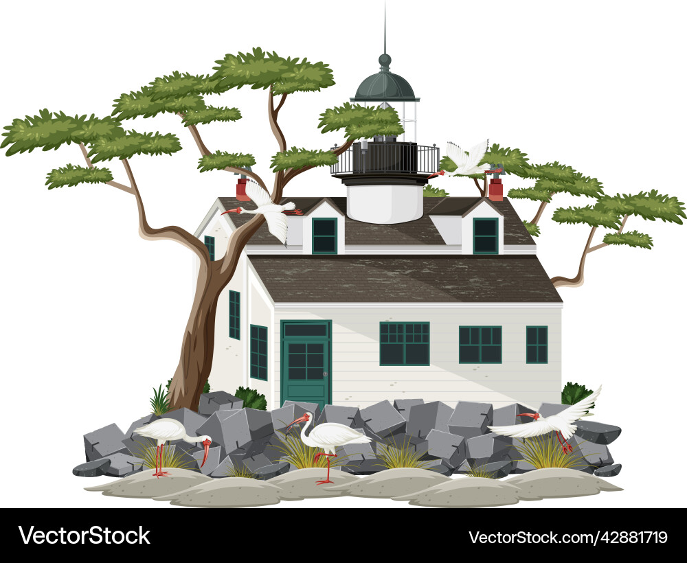 Lighthouse building with american white ibis Lighthouse building with american white ibis vector image