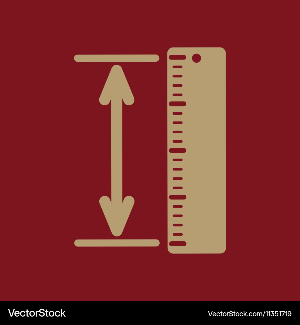 Measuring height and length icon ruler vector image