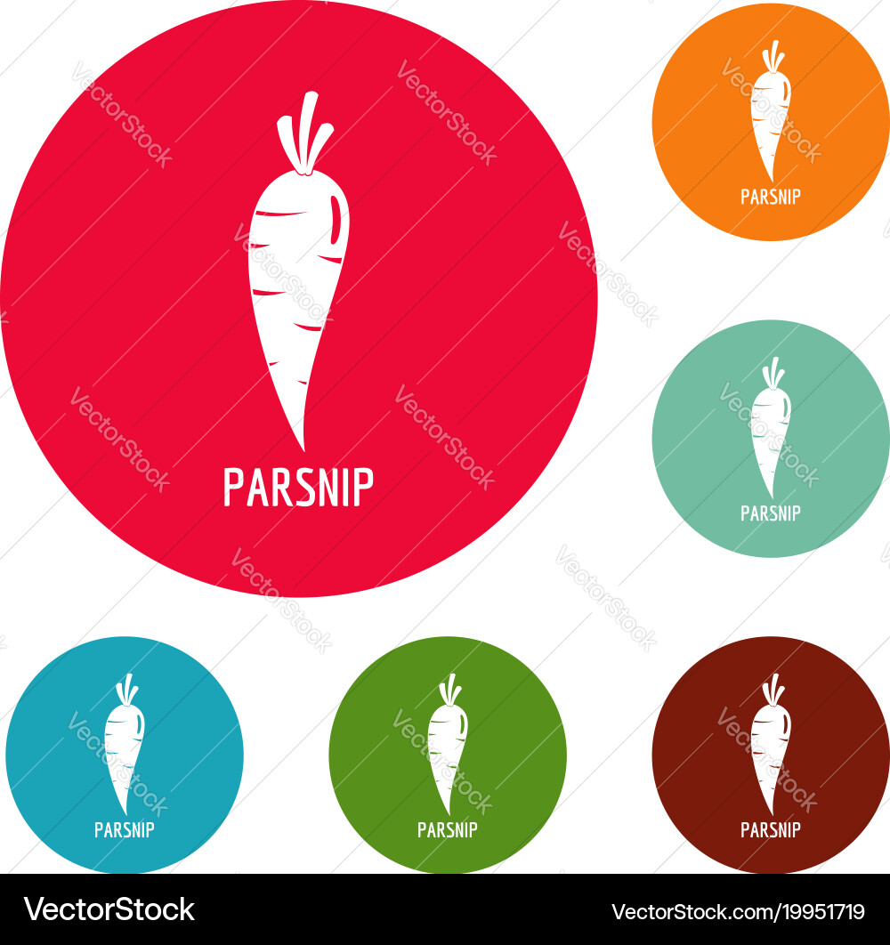 Parsnip icons circle set Vector Image