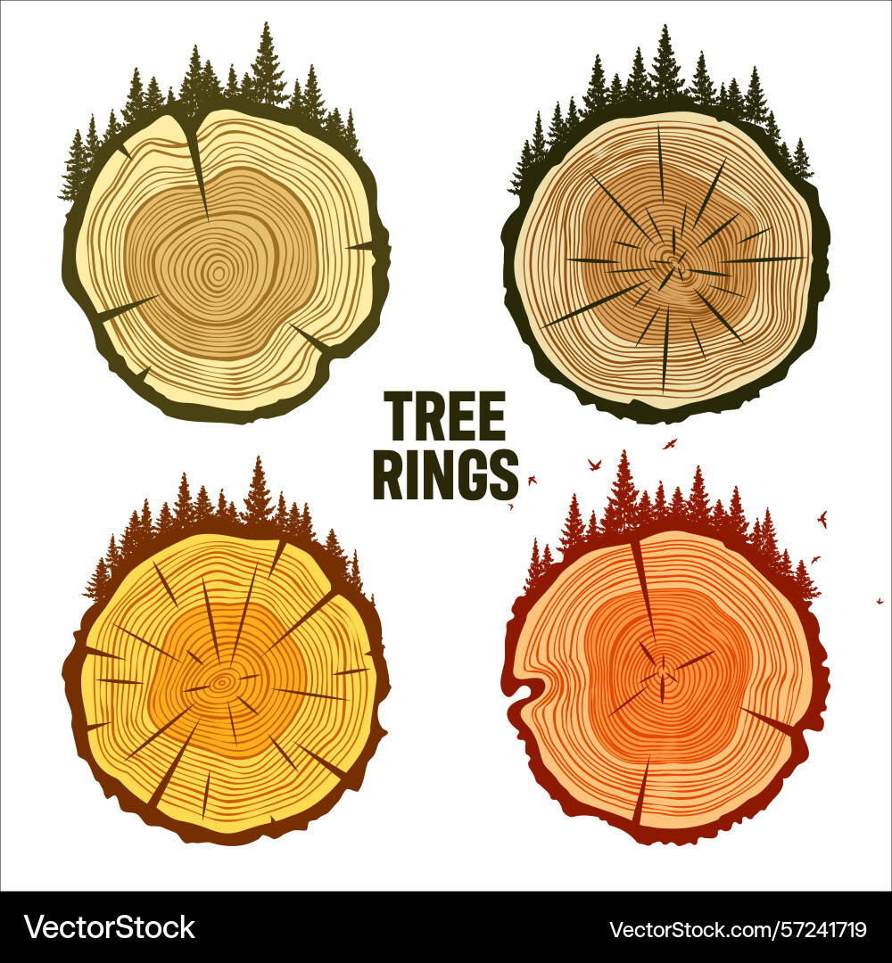 Round tree trunk cuts with trees forest and birds Round tree trunk cuts with trees forest and birds vector image