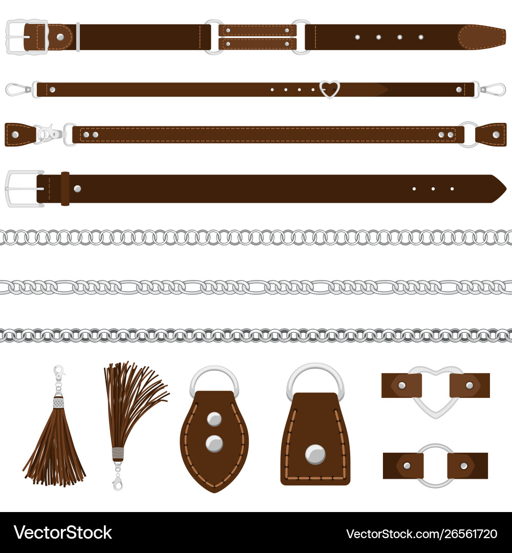 Belts silver chains colars Belts silver chains colars vector image