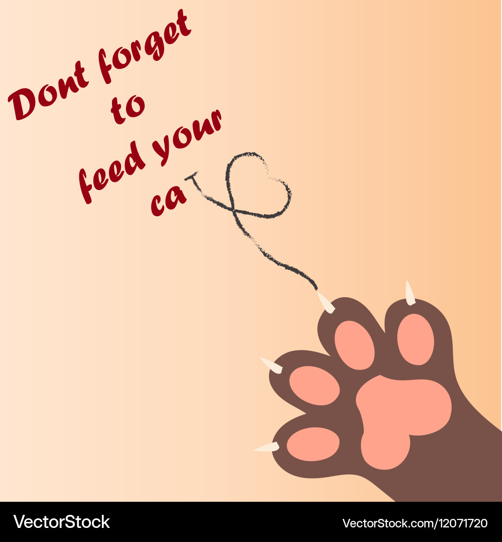 Cat paw print with claws vector image