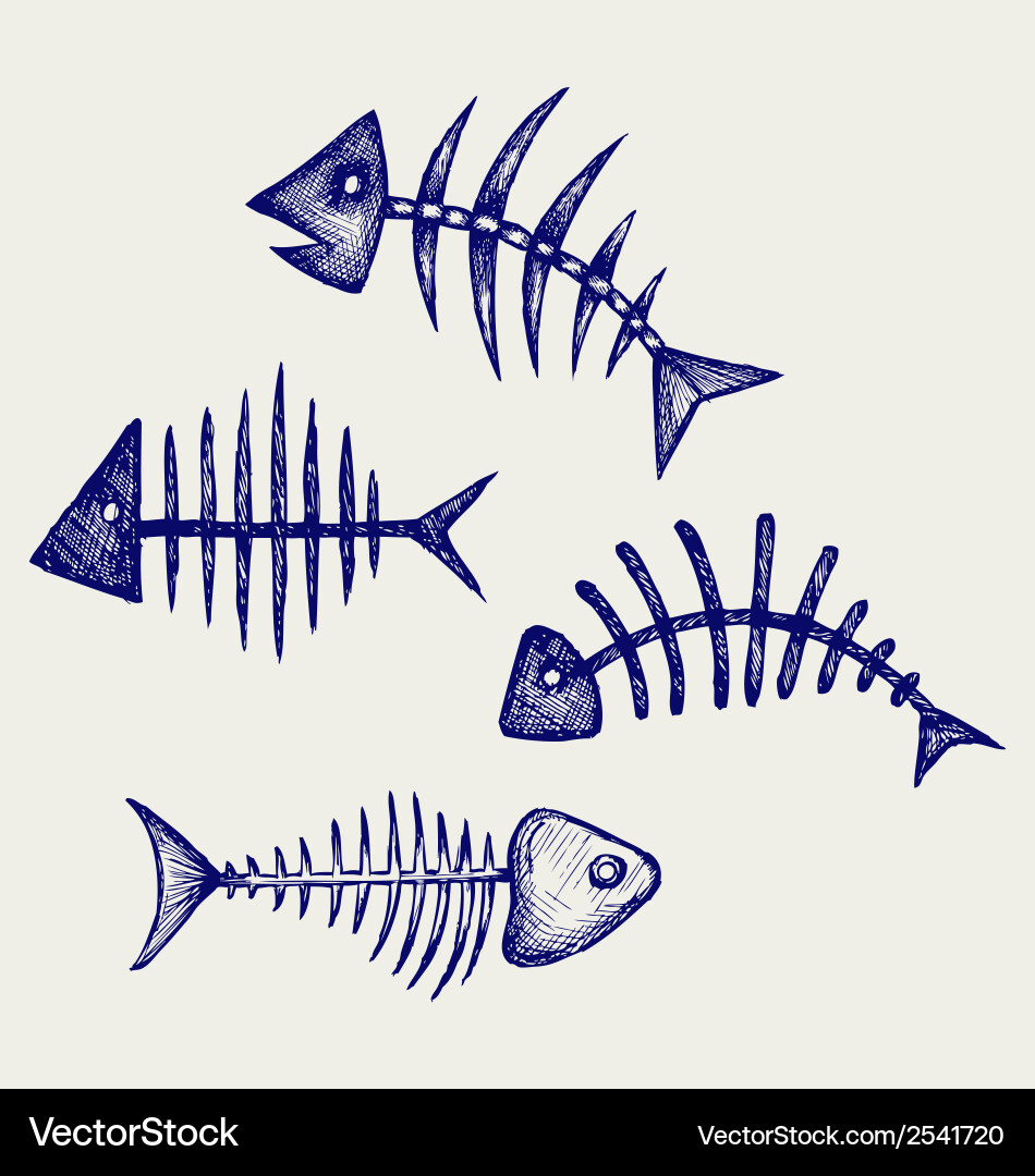 Detailed Fishbone Sketch Vector Image