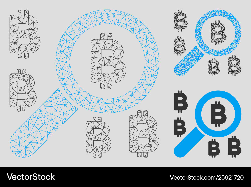 Find bitcoin mesh wire frame model Find bitcoin mesh wire frame model vector image