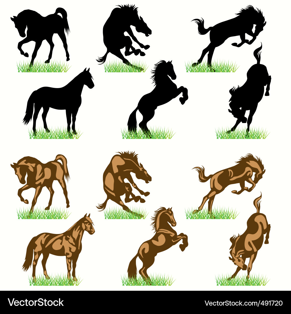 Horse Silhouettes - Equestrian Set vector image