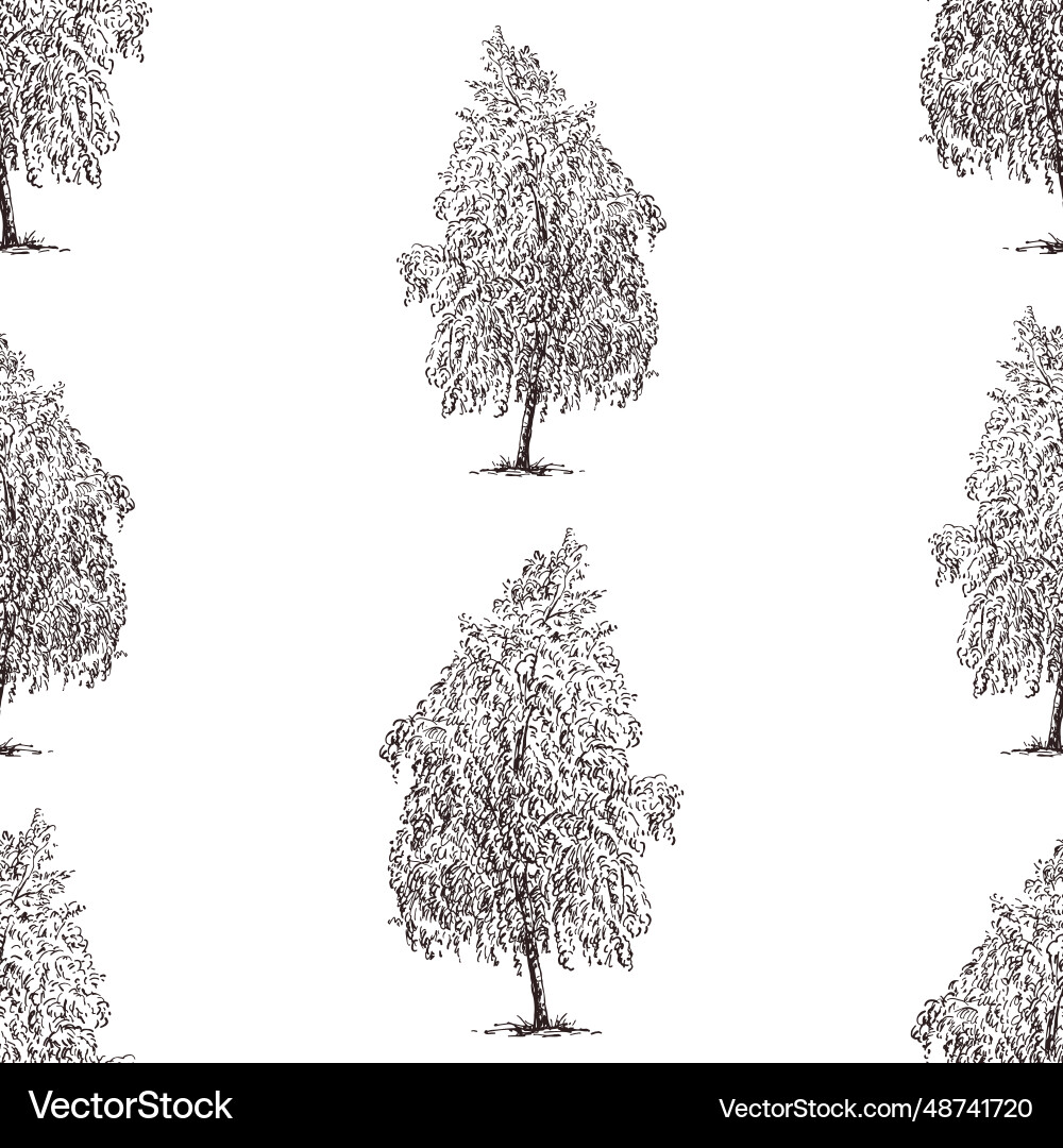 Seamless pattern of birch tree sketches vector image