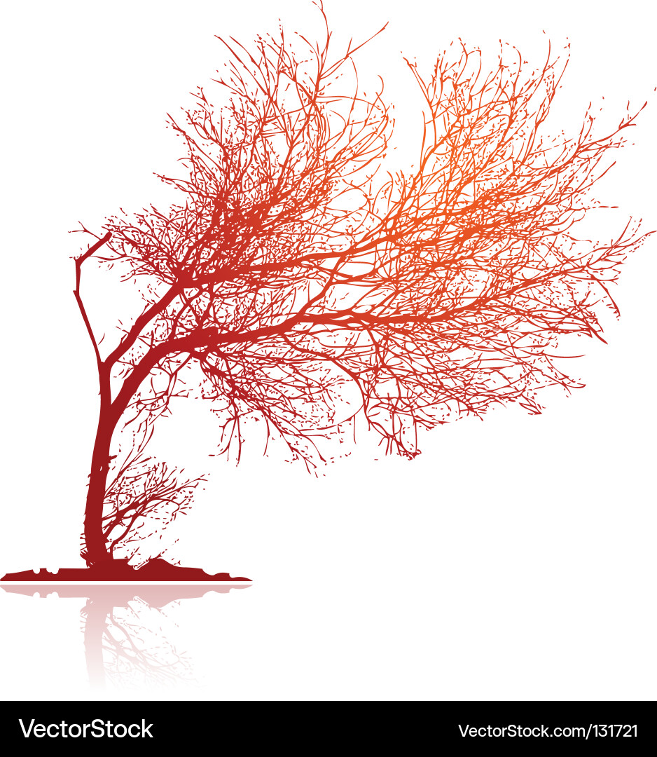 Baum Lizenzfreies Vektorbild - VectorStock
